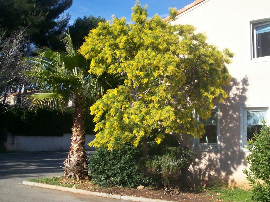 מלון ביו Stars Antibes מראה חיצוני תמונה